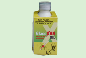Glacoxan Oil